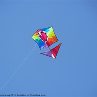 Buy canvas prints of Colourful Kite Flying by Anna Lewis