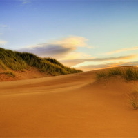 Buy canvas prints of Beach Dunes by Don Alexander Lumsden