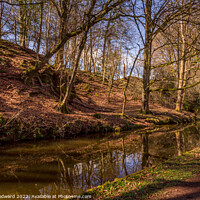 Buy canvas prints of Brecon & Monmouthshire Canal by Joel Woodward