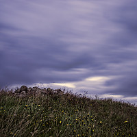Buy canvas prints of Long Grass by Joel Woodward