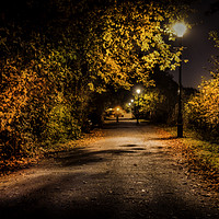 Buy canvas prints of Autumn Nights by Joel Woodward