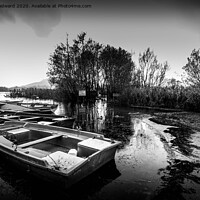 Buy canvas prints of Llangorse Lake Boats Black & White by Joel Woodward