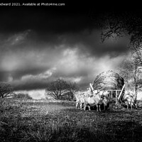 Buy canvas prints of Stormy Sky Sheep by Joel Woodward