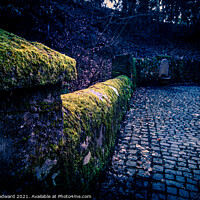 Buy canvas prints of Moss covered walls Rock Park by Joel Woodward