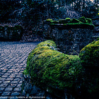 Buy canvas prints of Moss Covered Walls by Joel Woodward