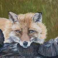 Buy canvas prints of Mr Fox Looking at you by robin oakley
