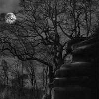 Buy canvas prints of Spooky Rocks by Dave Burden