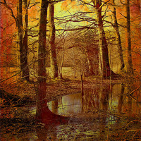 Buy canvas prints of Autumn Texture by Dave Burden
