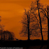 Buy canvas prints of Silhouette Park by Dave Burden