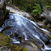 Buy canvas prints of  Taggerty Cascades #2 by Graham Palmer