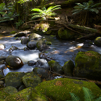 Buy canvas prints of  Taggerty Cascades #3 by Graham Palmer