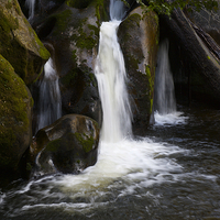 Buy canvas prints of  Taggerty Cascades #5 by Graham Palmer