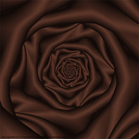 Buy canvas prints of Chocolate Rose Spiral by Colin Forrest