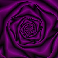 Buy canvas prints of Deep Purple Rose Spiral by Colin Forrest