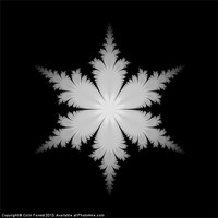 Buy canvas prints of Fractal Snowflake by Colin Forrest