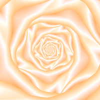 Buy canvas prints of Pale Peach Spiral Rose by Colin Forrest