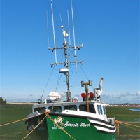 Buy canvas prints of Waiting For the Tide by David Davies