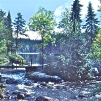 Buy canvas prints of Rushing River Provincial Park by David Davies