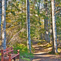 Buy canvas prints of A Seat by the Trail by David Davies