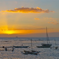 Buy canvas prints of Waikiki Sunset II by David Davies