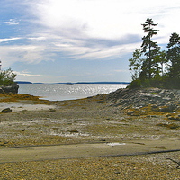 Buy canvas prints of Allen Point, Maine by David Davies