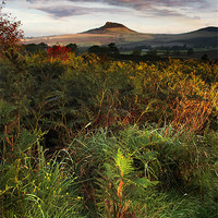 Buy canvas prints of Roseberry Topping by Dave Hudspeth Landscape Photography