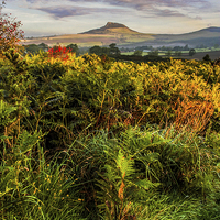 Buy canvas prints of Roseberry Topping by Dave Hudspeth Landscape Photography