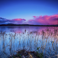 Buy canvas prints of Loch Lomond by Dave Hudspeth Landscape Photography
