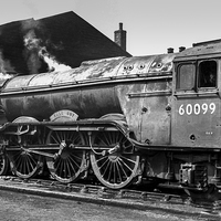 Buy canvas prints of 60099 Call Boy at Carlisle by Dave Hudspeth Landscape Photography