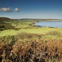 Buy canvas prints of   Robin Hoods Bay, North Yorkshire Panoramic by Dave Hudspeth Landscape Photography