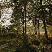 Buy canvas prints of  Preston Park, Stockton on Tees Panoramic by Dave Hudspeth Landscape Photography