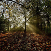 Buy canvas prints of  Preston Park, Stockton on Tees Panoramic by Dave Hudspeth Landscape Photography