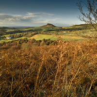 Buy canvas prints of  Roseberry Topping by Dave Hudspeth Landscape Photography