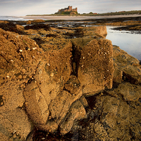 Buy canvas prints of  Bamburgh Castle, Northumberland by Dave Hudspeth Landscape Photography