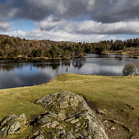 Buy canvas prints of Tarn Hows, Cumbria Panoramic by Dave Hudspeth Landscape Photography