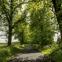 Buy canvas prints of The Roman Road by Dave Hudspeth Landscape Photography