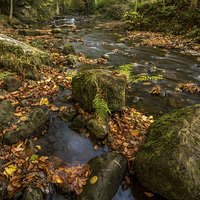 Buy canvas prints of Maybeck Autumn Colours by Dave Hudspeth Landscape Photography