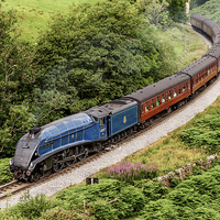 Buy canvas prints of 60007, Sir Nigel Gresley on the North Yorkshire Mo by Dave Hudspeth Landscape Photography