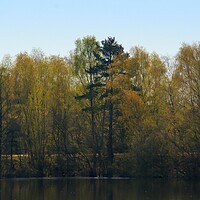 Buy canvas prints of Woodland Across the Lake  by Jon Fixter