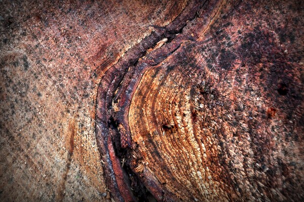 Abstract texture Picture Board by Jon Fixter