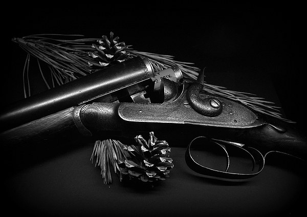  Vintage Shotgun Picture Board by Jon Fixter