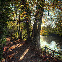 Buy canvas prints of Autumn Pathway along the Lake by Jon Fixter