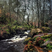 Buy canvas prints of At the Brooks edge  by Jon Fixter