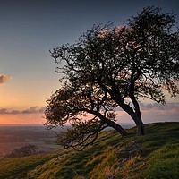 Buy canvas prints of On the Edge at Sunset by Jon Fixter