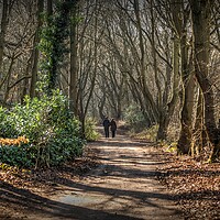 Buy canvas prints of Lovers Lane  by Jon Fixter