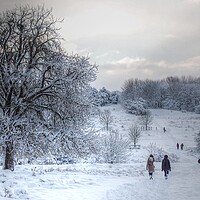 Buy canvas prints of A winter's walk on the common  by Jon Fixter
