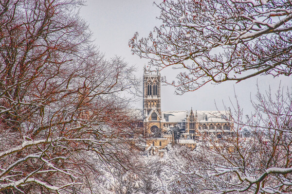 Lincoln cathedral framed by snowy tree's  Picture Board by Jon Fixter