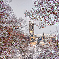 Buy canvas prints of Lincoln cathedral framed by snowy tree's  by Jon Fixter