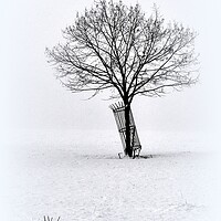 Buy canvas prints of A Lone winters tree  by Jon Fixter