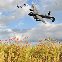 Buy canvas prints of Poppies & Lancaster's by Jon Fixter